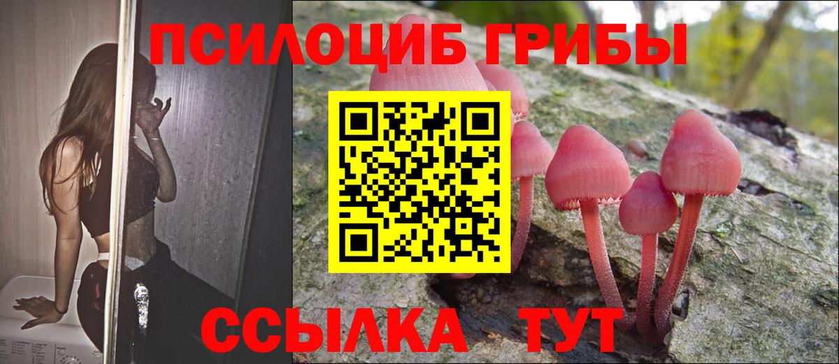 Галлюциногенные грибы Psilocybe Донской