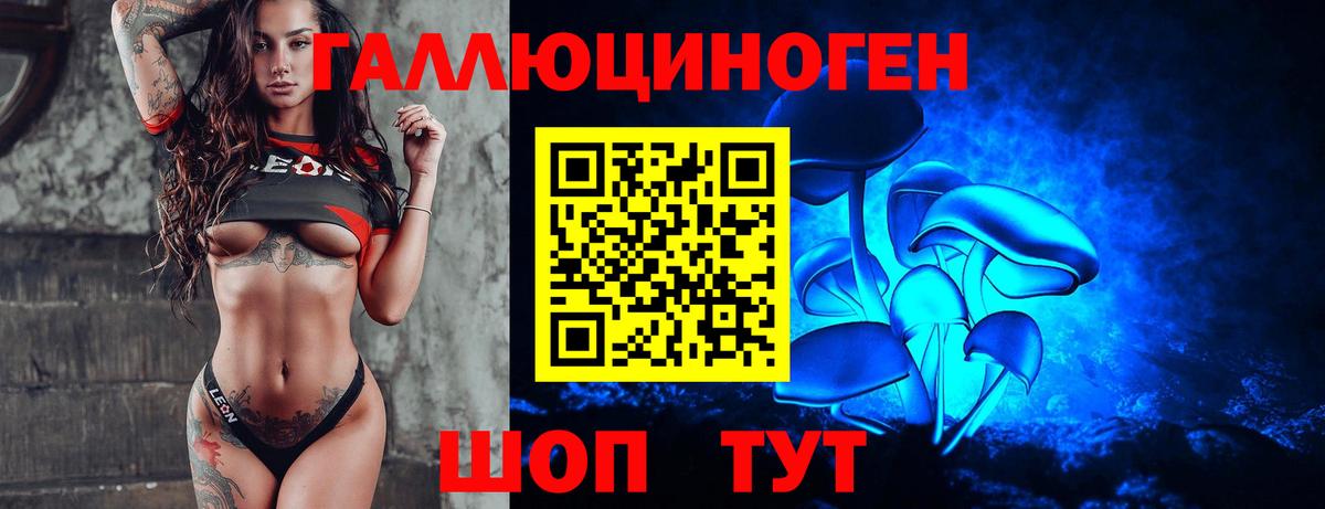 где можно купить наркотик  Вход с VPN  Донской  Галлюциногенные грибы ЛСД  Псилоцибиновые грибы Psilocybine cubensis 